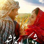 دانلود فیلم شبی که ماه کامل شد